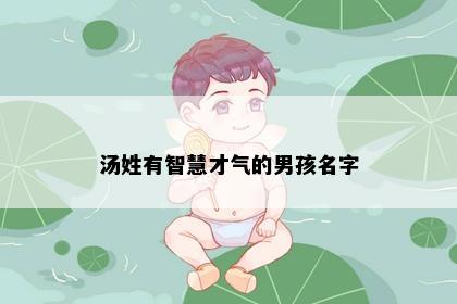 汤姓有智慧才气的男孩名字