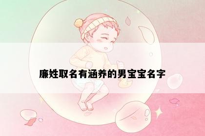 廉姓取名有涵养的男宝宝名字